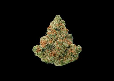 BLUE PINA