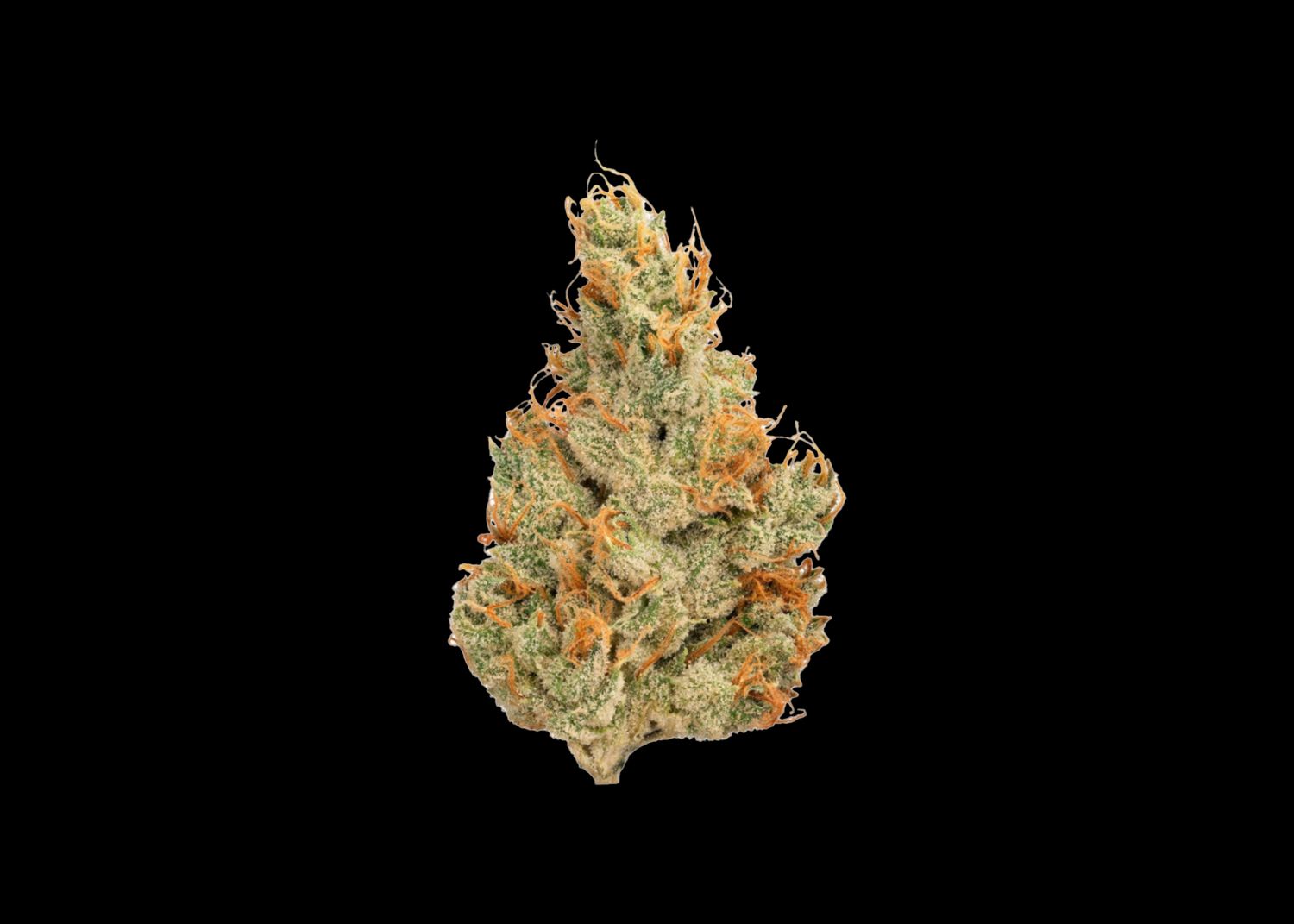TANGIE