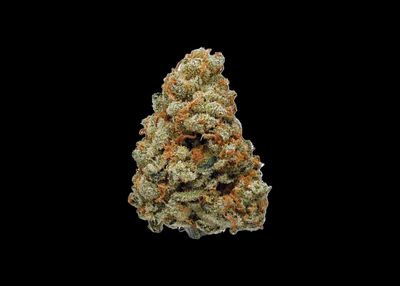 LEMON JACK