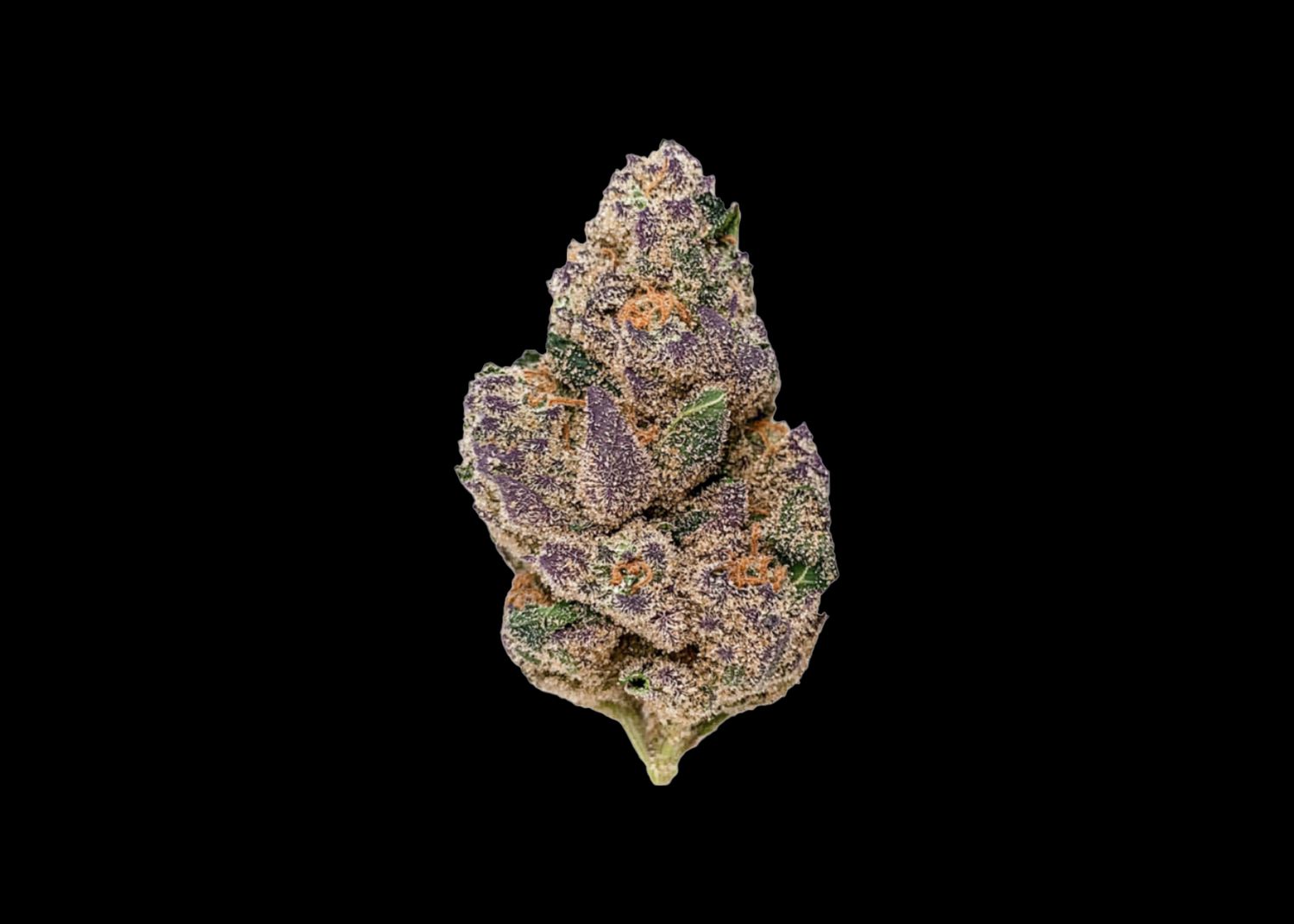 BLUEBERRY CAVIAR