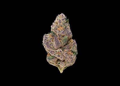BLUEBERRY CAVIAR