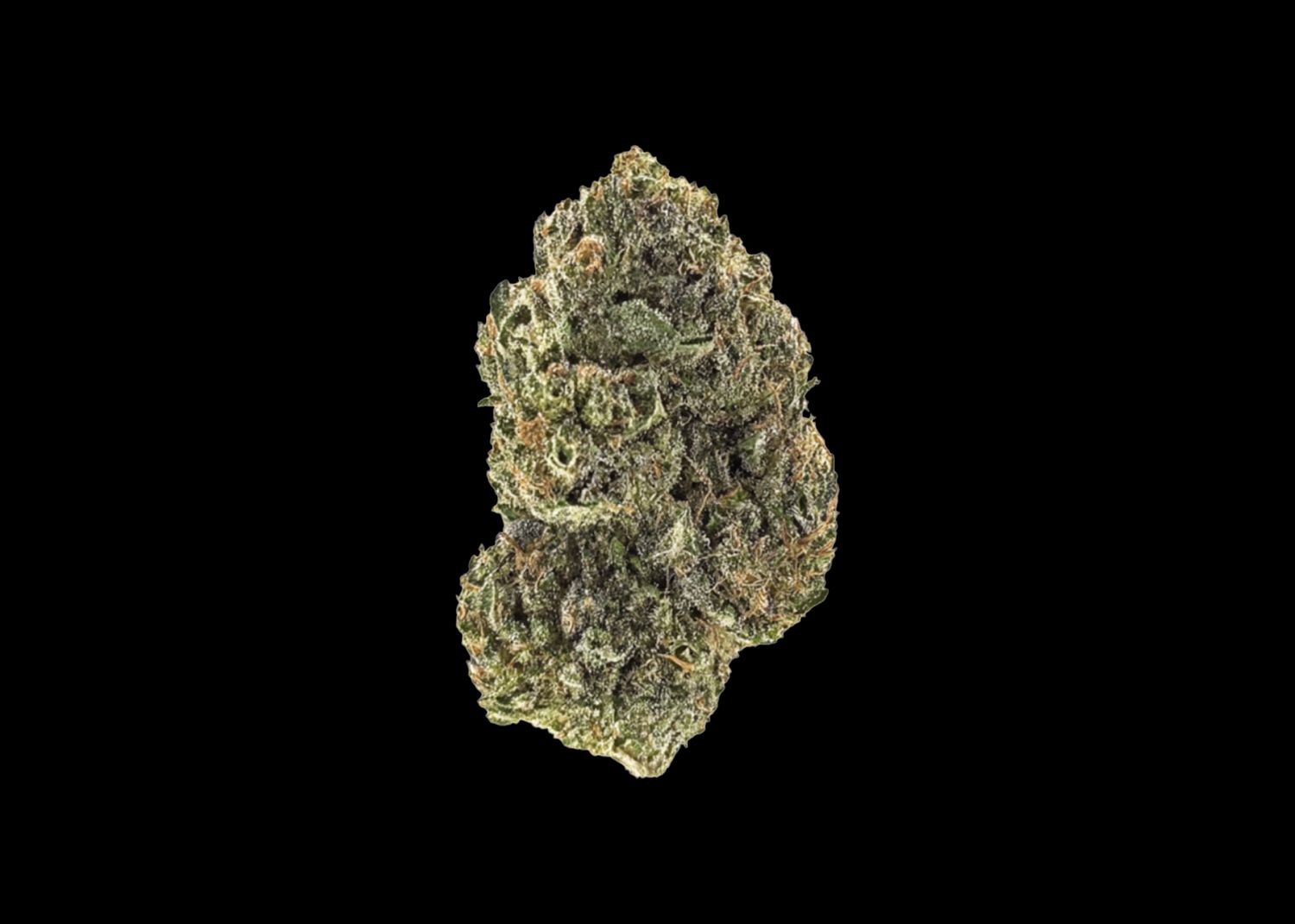 FROZEN CHERRYCANA