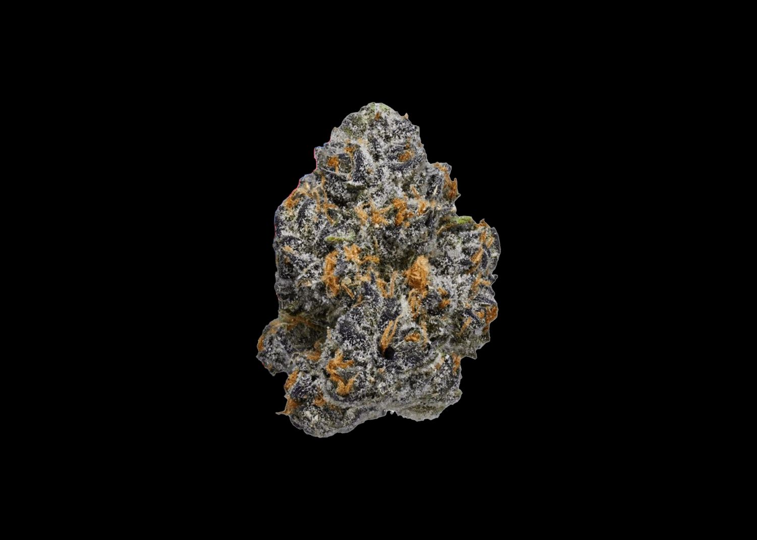 XRAY