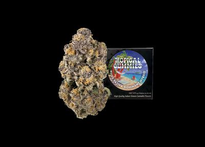 TEAM ELITE GENETICS - TROPICAL GUMMIES