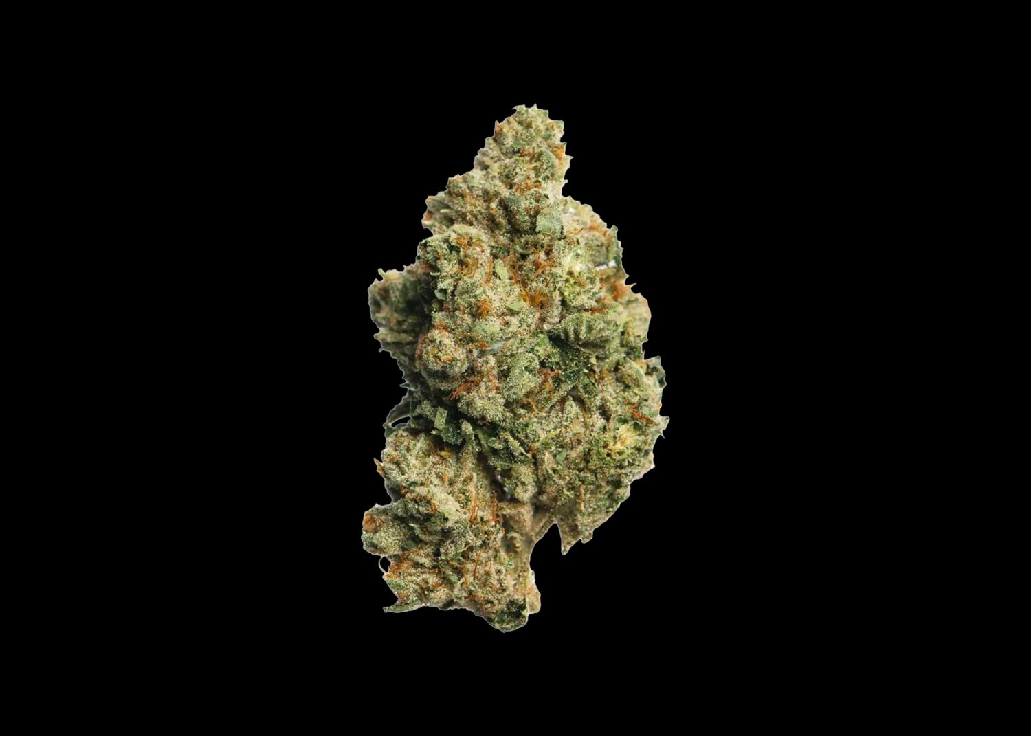 GHOST X LEGEND OG