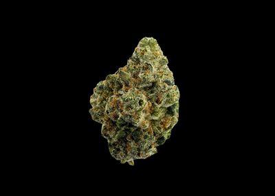 TAHITI LIME