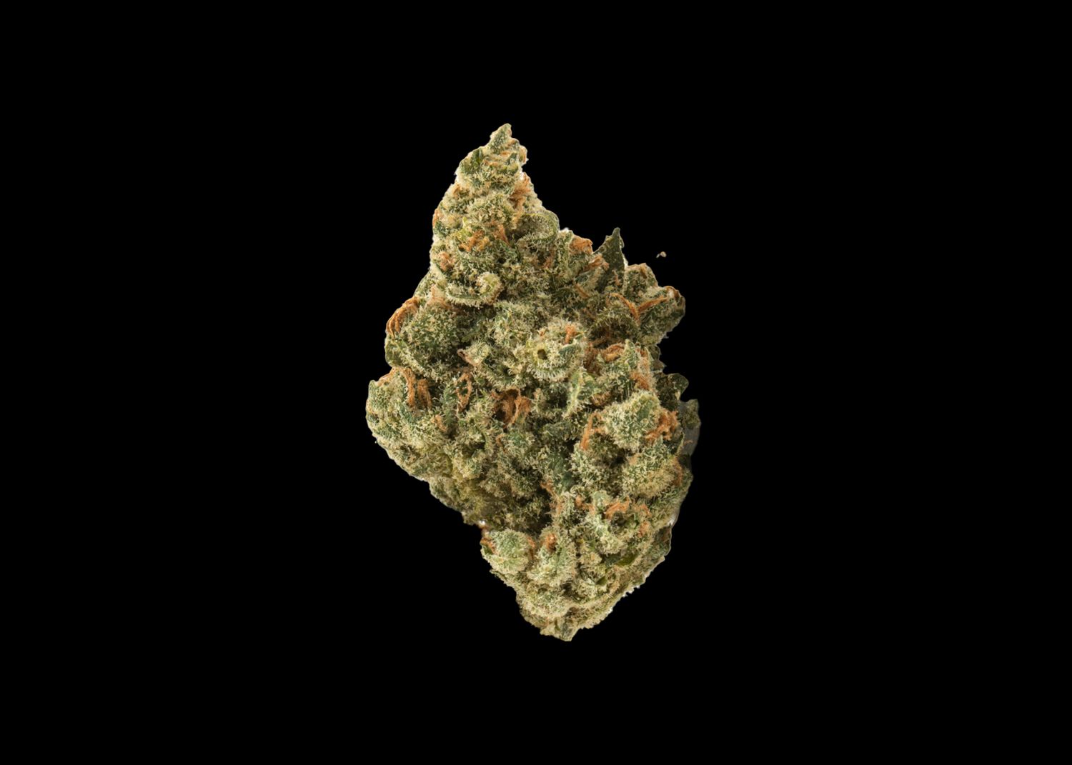 CREAM GOBLIN