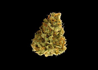 SOUR LEMON