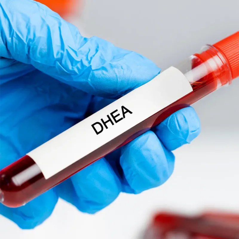DHEA - Dehydroepiandrosterone Lab Test