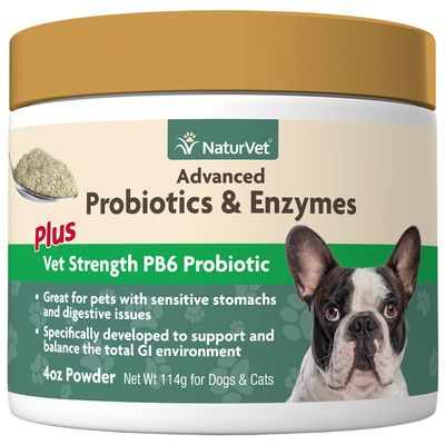 Advanced Probiotics &amp; Enzymes Powder 4OZ