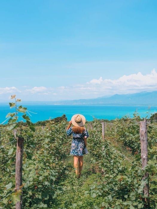 OcoaBay Wine Tours experience