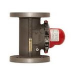 6"	60 PSI	Model VT-317F	Vertical Top-In Earthquake Valves