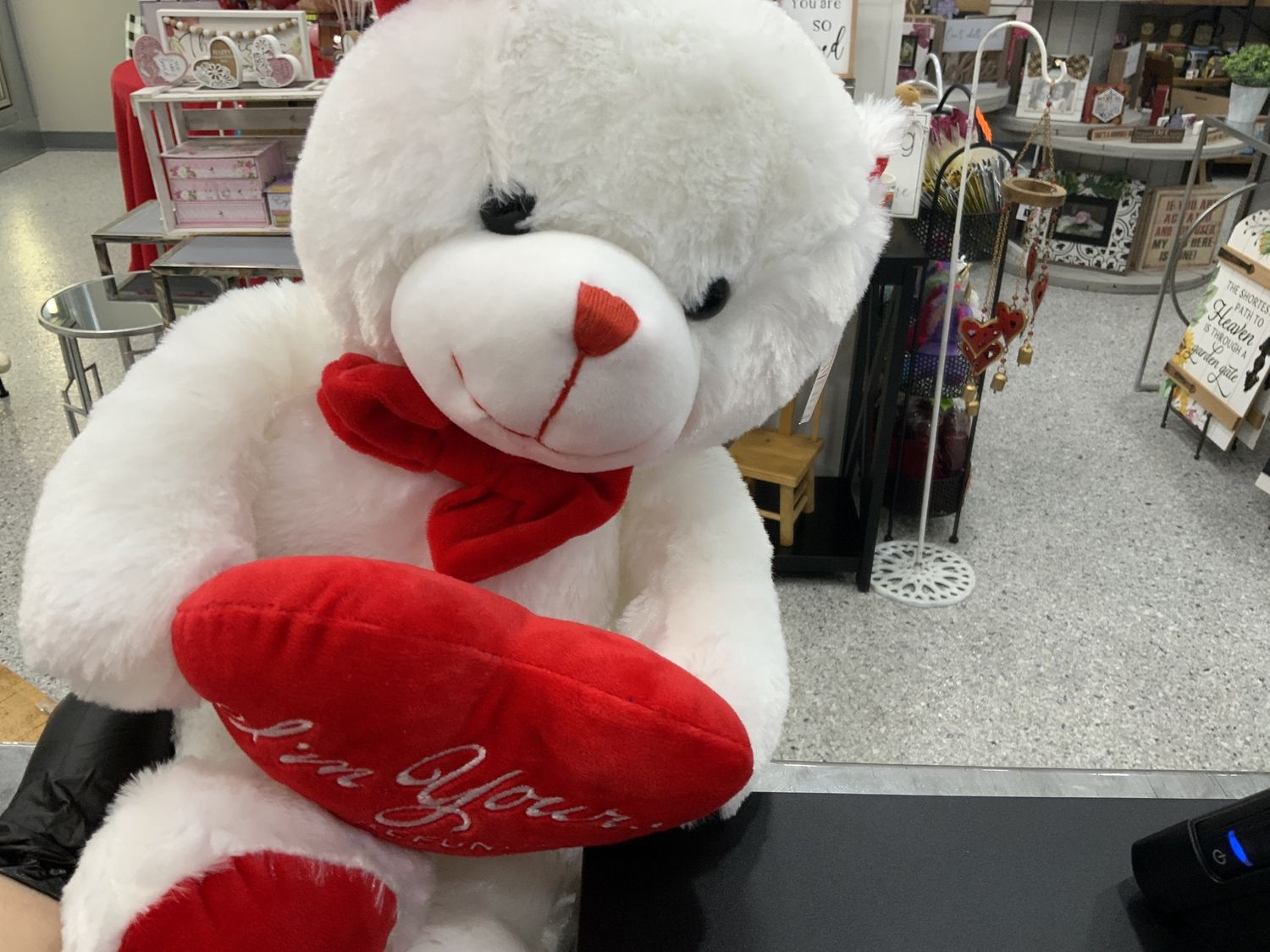 WHITE NO REFUNDS BEAR