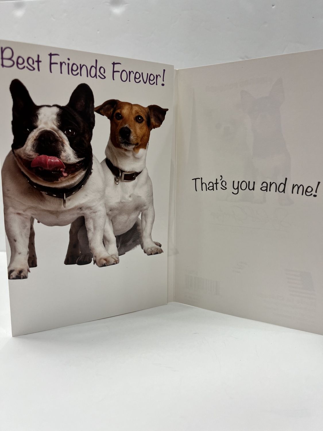GREETING CARDS- BEST FRIENDS