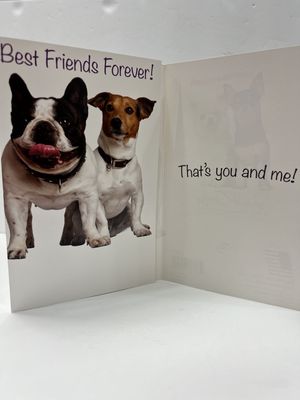 GREETING CARDS- BEST FRIENDS