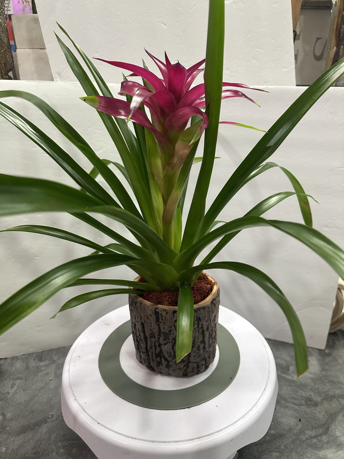 WOOD LOG  CERAMIC CONTAINER