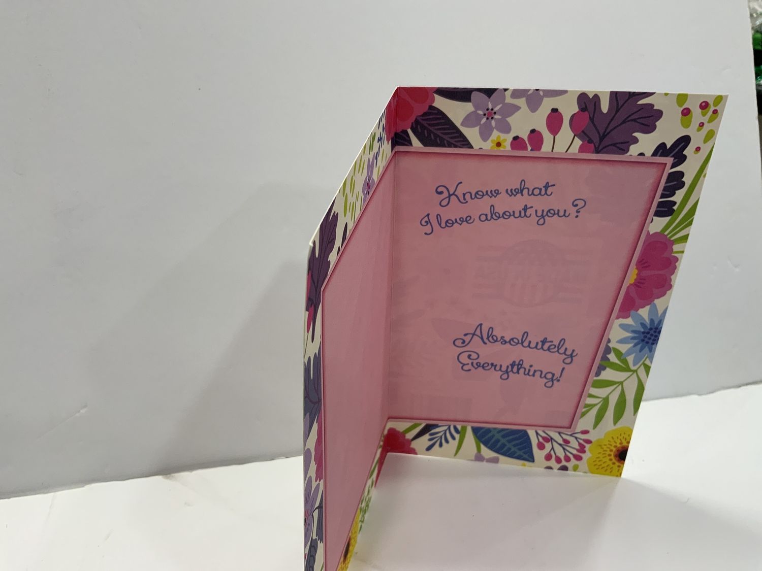 GREETING CARD-ABSOLUTLEY EVERYTHING