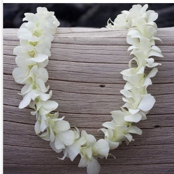 ORCHID LEI, COLOR: WHITE, DESIGN: SINGLE