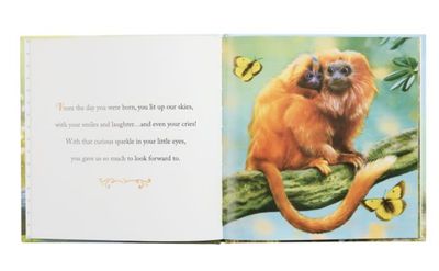 WHY WE NEED GRANDSONS-BOOK