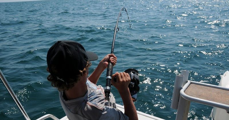 Fishing Charters - Bait and Tackle (Half Day)