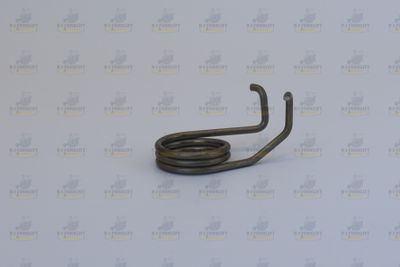 SPRING HYDROSTATIC PUMP  #4568903