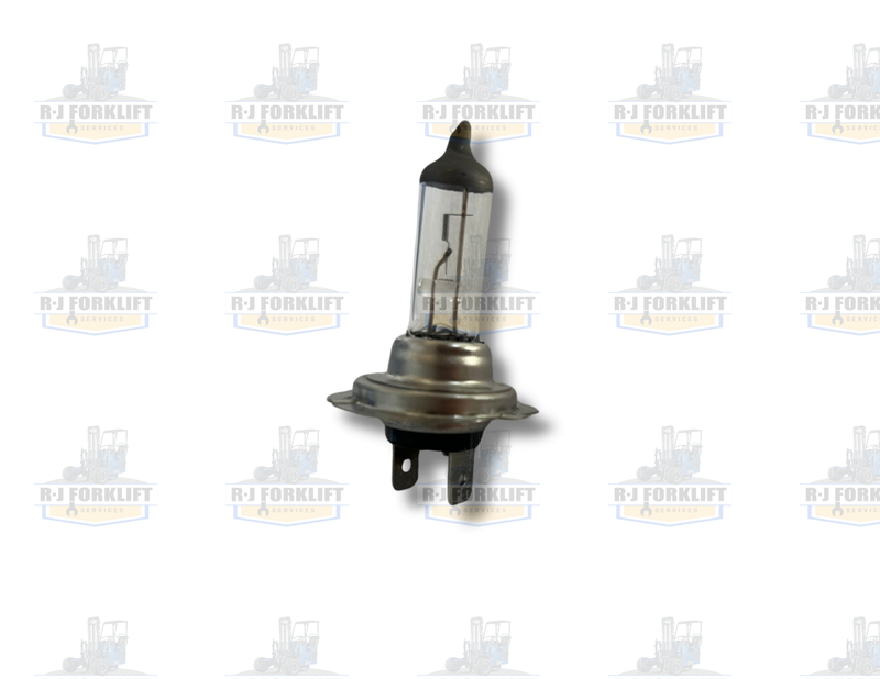 LIGHT BULBS 12V 55W