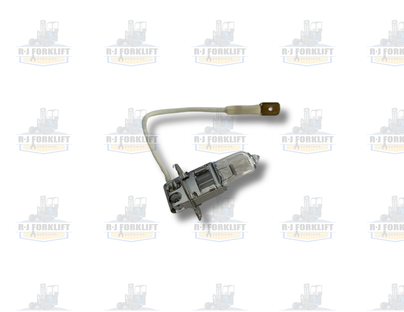 LIGHT BULBS 12V 100W
