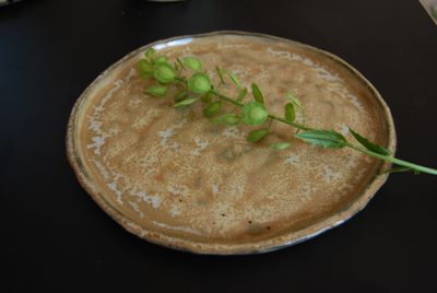 Golden Moon plate