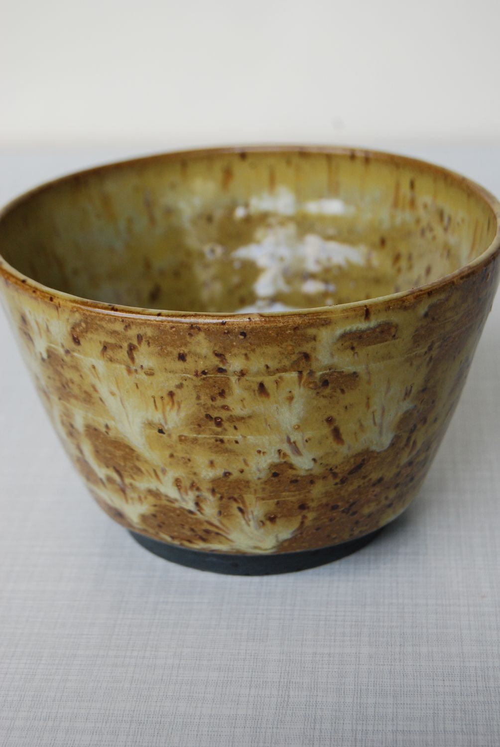 Wasabi Plant Pot