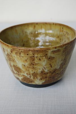 Wasabi Plant Pot