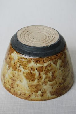 Wasabi Plant Pot