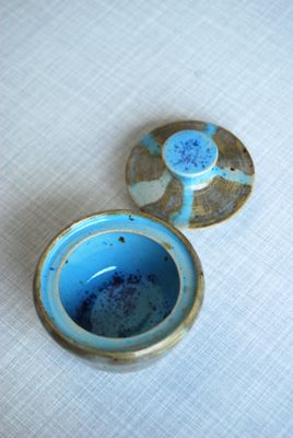 Blue octopus can