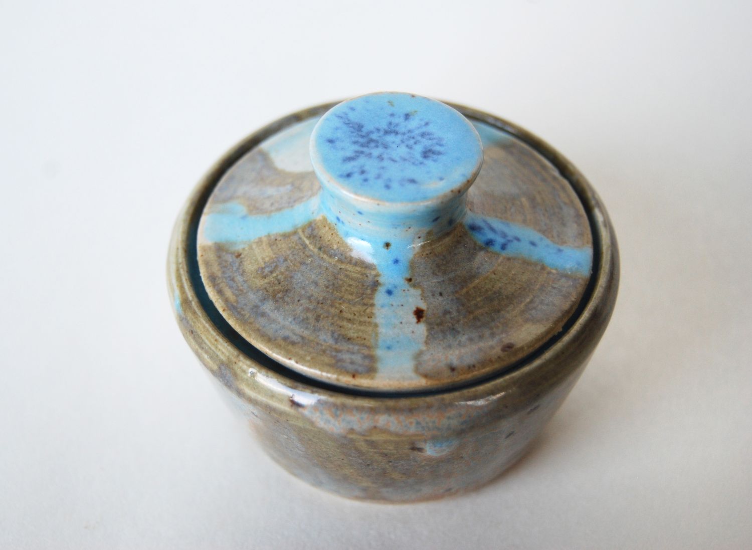 Blue octopus can