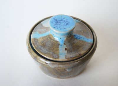 Blue octopus can