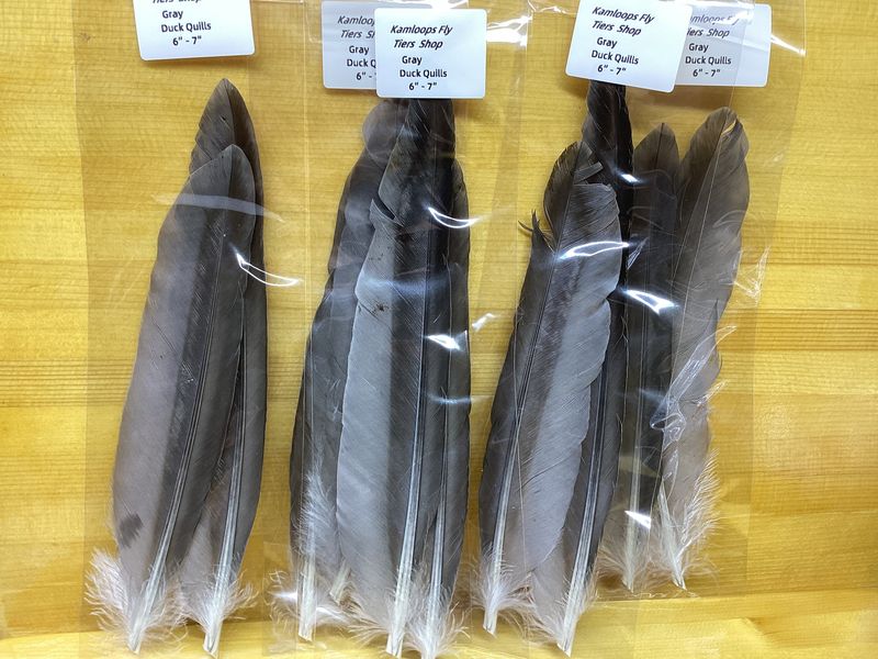Duck Quills Gray 6”-7”