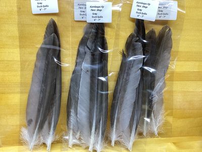 Duck Quills Gray 6”-7”