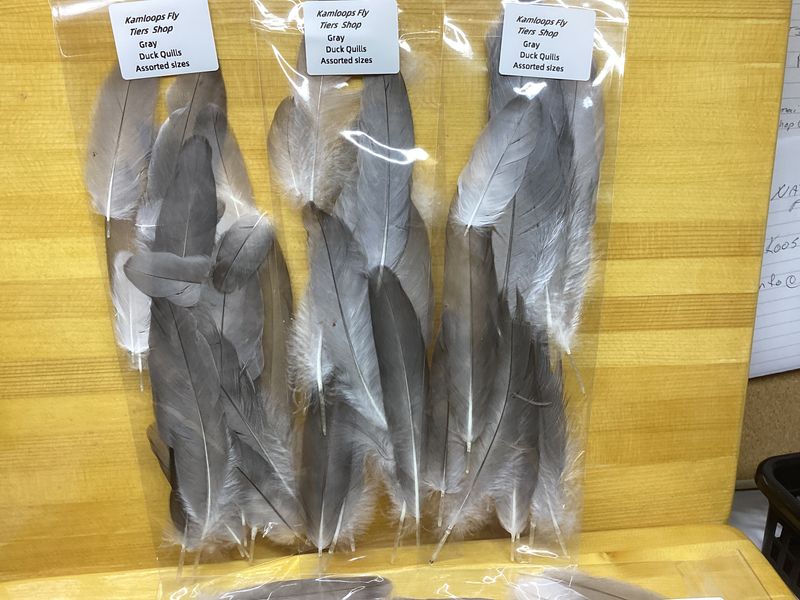 Duck Quills Gray Assorted Sizes