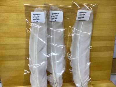 Duck Quills White 10”