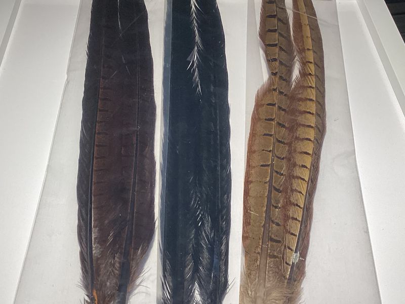 Natures Spirit Pheasant Tails #1
