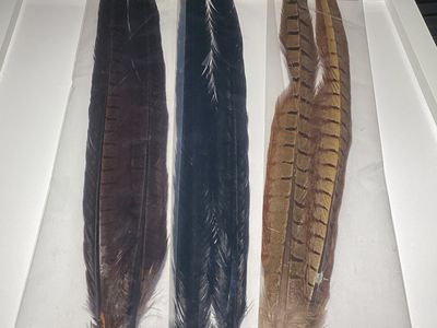 Natures Spirit Pheasant Tails #1