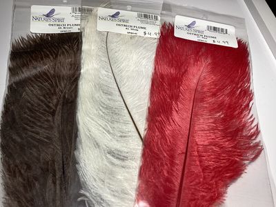 Natures Spirit Ostrich Plume