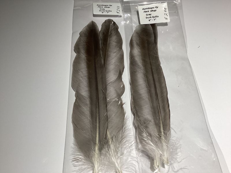 Duck Quills Gray 6”-7”