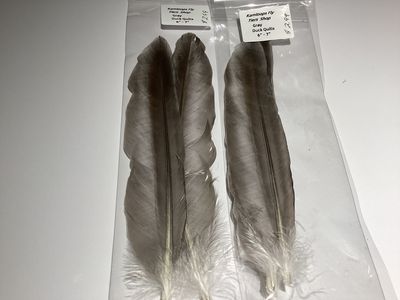Duck Quills Gray 6”-7”