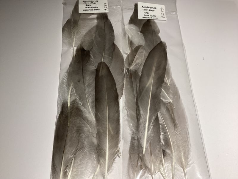 Duck Quills Gray Assorted Sizes