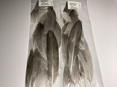 Duck Quills Gray Assorted Sizes
