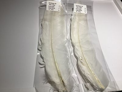 Duck Quills White 10”