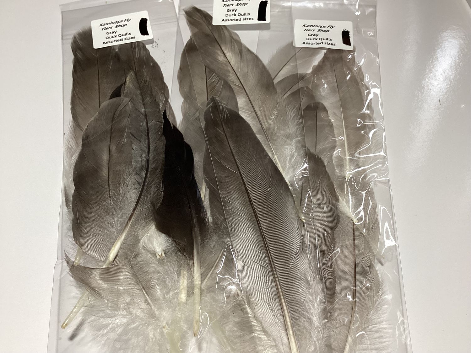 Duck Quills Natural Gray  Assorted Sizes