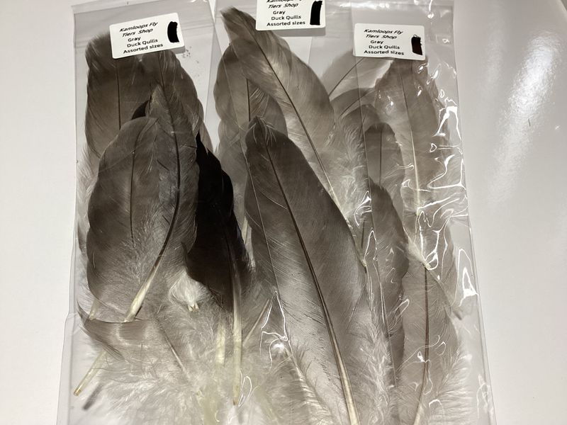 Duck Quills Natural Gray  Assorted Sizes