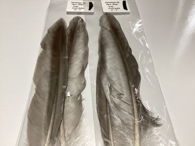 Duck Quills Natural Gray 6”-7”