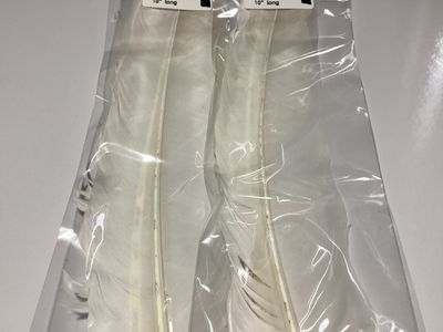 Duck Quills Natural White 10”